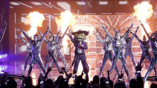 The Masked Singer - Backdrops