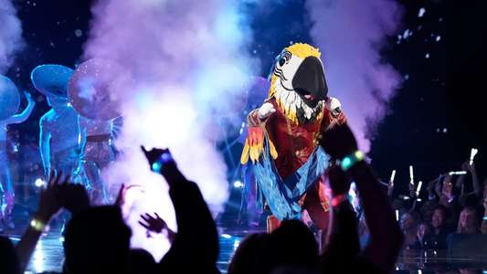 The Masked Singer - Backdrops
