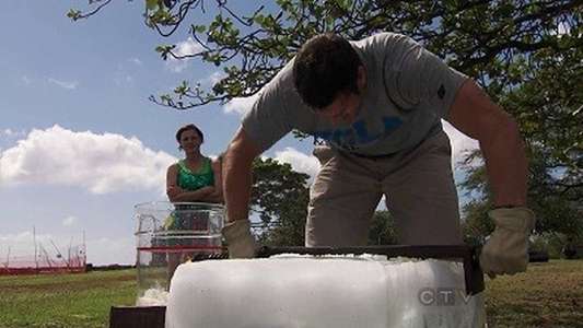 The Amazing Race - Backdrop