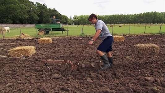 The Amazing Race - Backdrop