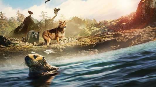 Island of the Sea Wolves - Backdrops