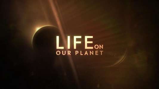 Life on Our Planet - Backdrops