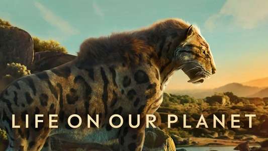 Life on Our Planet - Backdrops