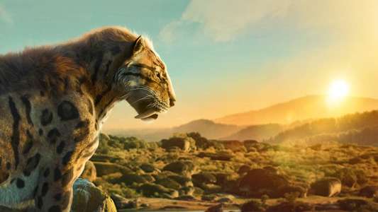 Life on Our Planet - Backdrops