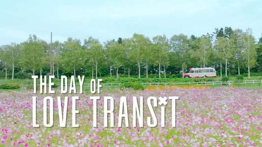 Love Transit - Backdrops