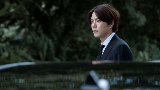 The Killing Vote - Backdrops