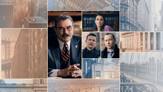 Blue Bloods - Backdrops