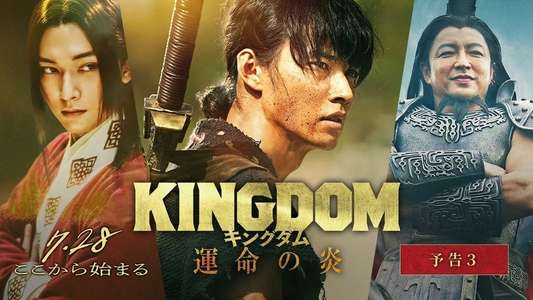 Kingdom 3: The Flame of Fate - Backdrop