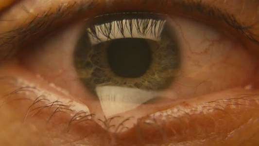 Feria: The Darkest Light - Backdrops