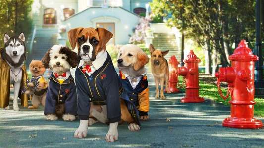 Pup Academy - Backdrops