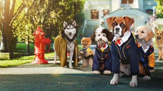 Pup Academy - Backdrops