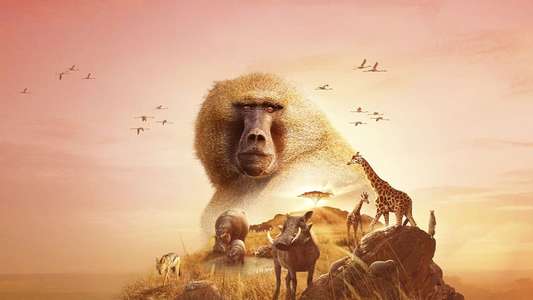 Serengeti - Backdrops