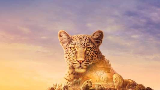 Serengeti - Backdrops