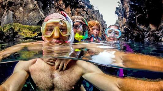 My Family and The Galapagos - Backdrop