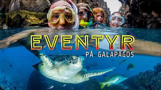 My Family and The Galapagos - Backdrop
