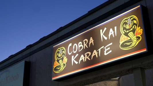 Cobra Kai - Backdrops