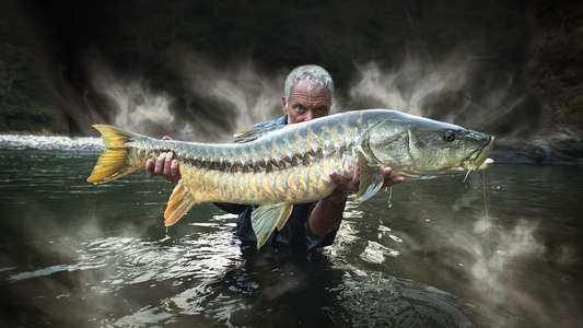 Jeremy Wade's Mighty Rivers - Backdrop