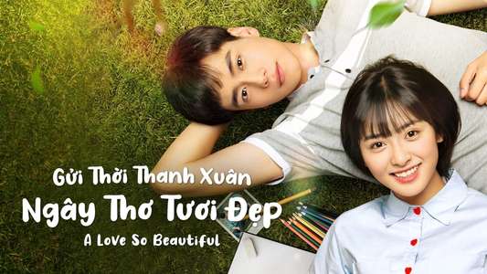 A Love So Beautiful - Backdrops