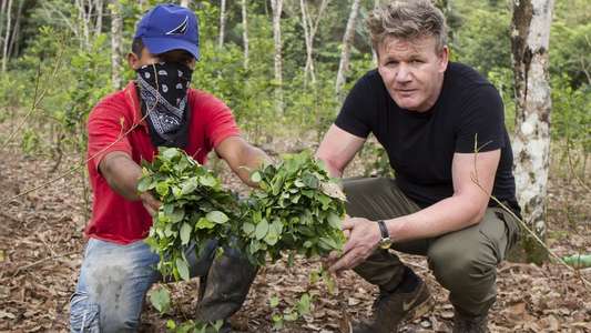 Gordon Ramsay on Cocaine - Backdrops