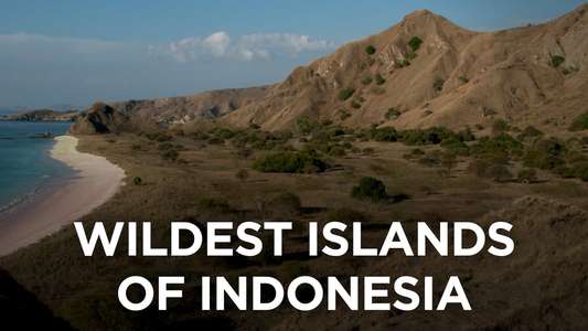 Wildest Islands of Indonesia - Backdrop