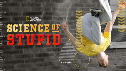 Science of Stupid - Backdrop