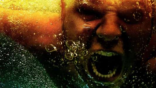 Animal Kingdom - Backdrops