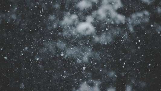 Wintergasten - Backdrops