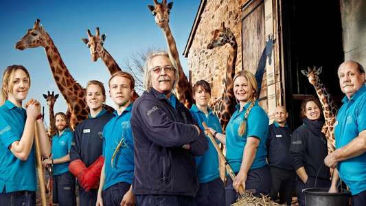 The Secret Life of the Zoo - Backdrops