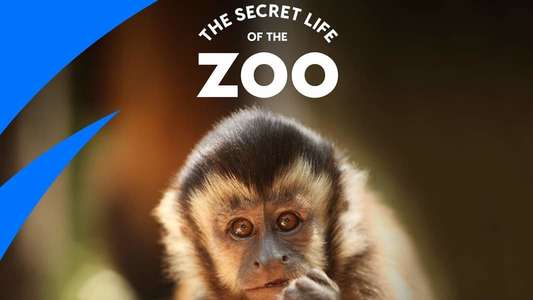 The Secret Life of the Zoo - Backdrops