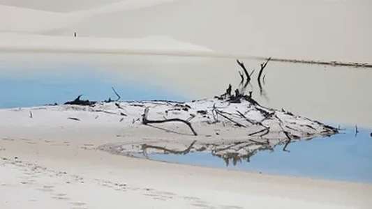 Secret Life of Lakes - Backdrop