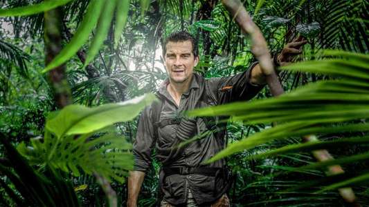 The Island with Bear Grylls - Backdrop