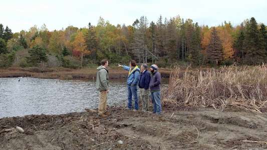 The Curse of Oak Island - Backdrops