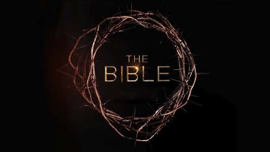 The Bible - Backdrop