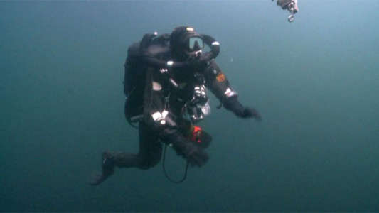 Dig WW2 with Dan Snow - Backdrop
