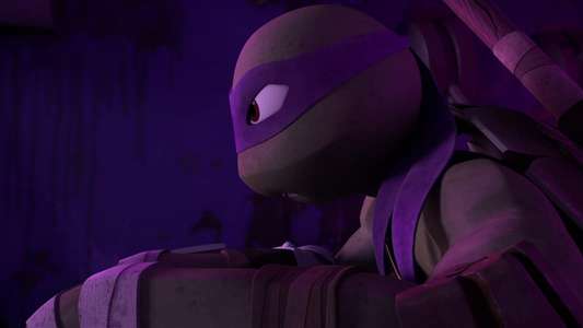 Teenage Mutant Ninja Turtles - Backdrops