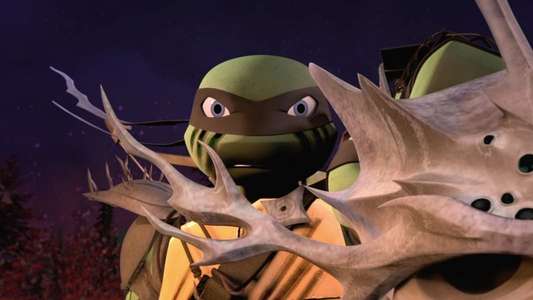 Teenage Mutant Ninja Turtles - Backdrops