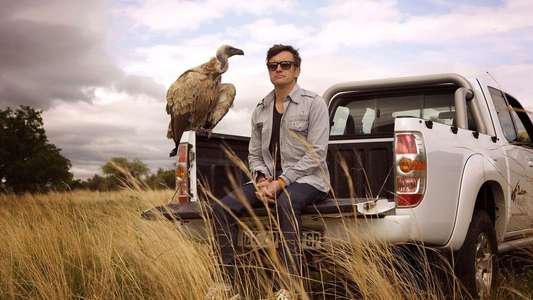 Richard Hammond's Miracles of Nature - Backdrop