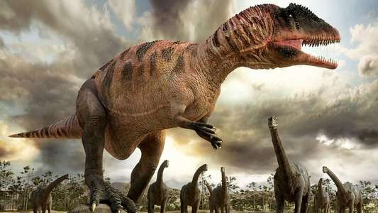 Planet Dinosaur - Backdrops