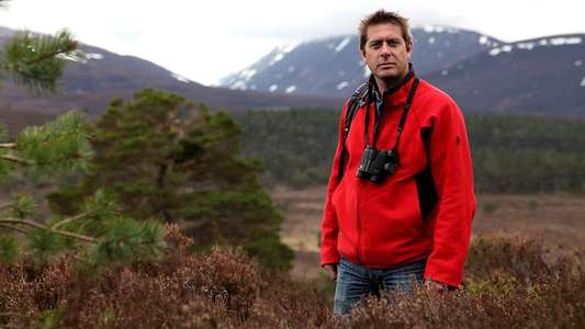 Making Scotland's Landscape - Backdrop