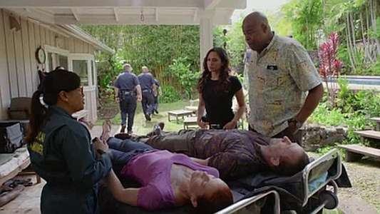 Hawaii Five-0 - Backdrops