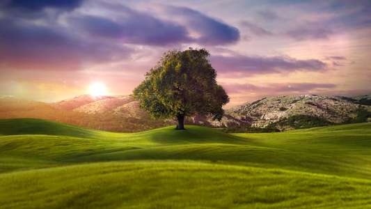 Who Do You Think You Are? - Backdrops