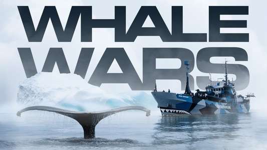 Whale Wars - Backdrop