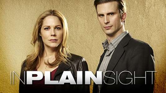 In Plain Sight - Backdrop