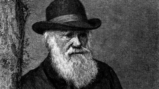 The Genius of Charles Darwin - Backdrop