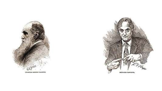 The Genius of Charles Darwin - Backdrop
