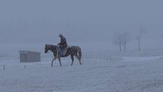 Heartland - Backdrops