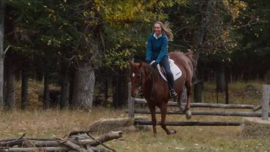 Heartland - Backdrops