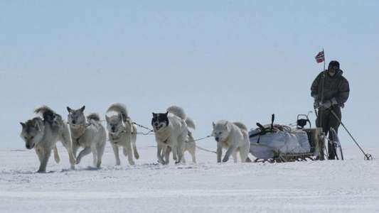 Blizzard Race to the Pole - Backdrop