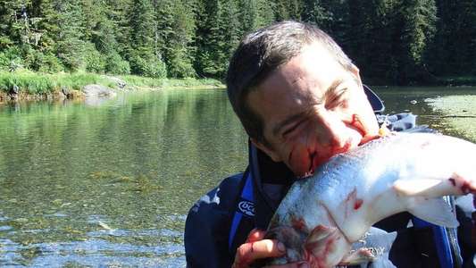 Man vs. Wild - Backdrops