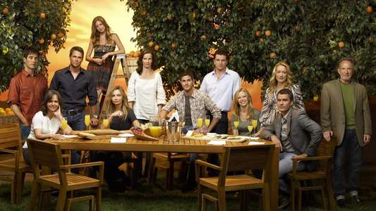 Brothers and Sisters - Backdrops